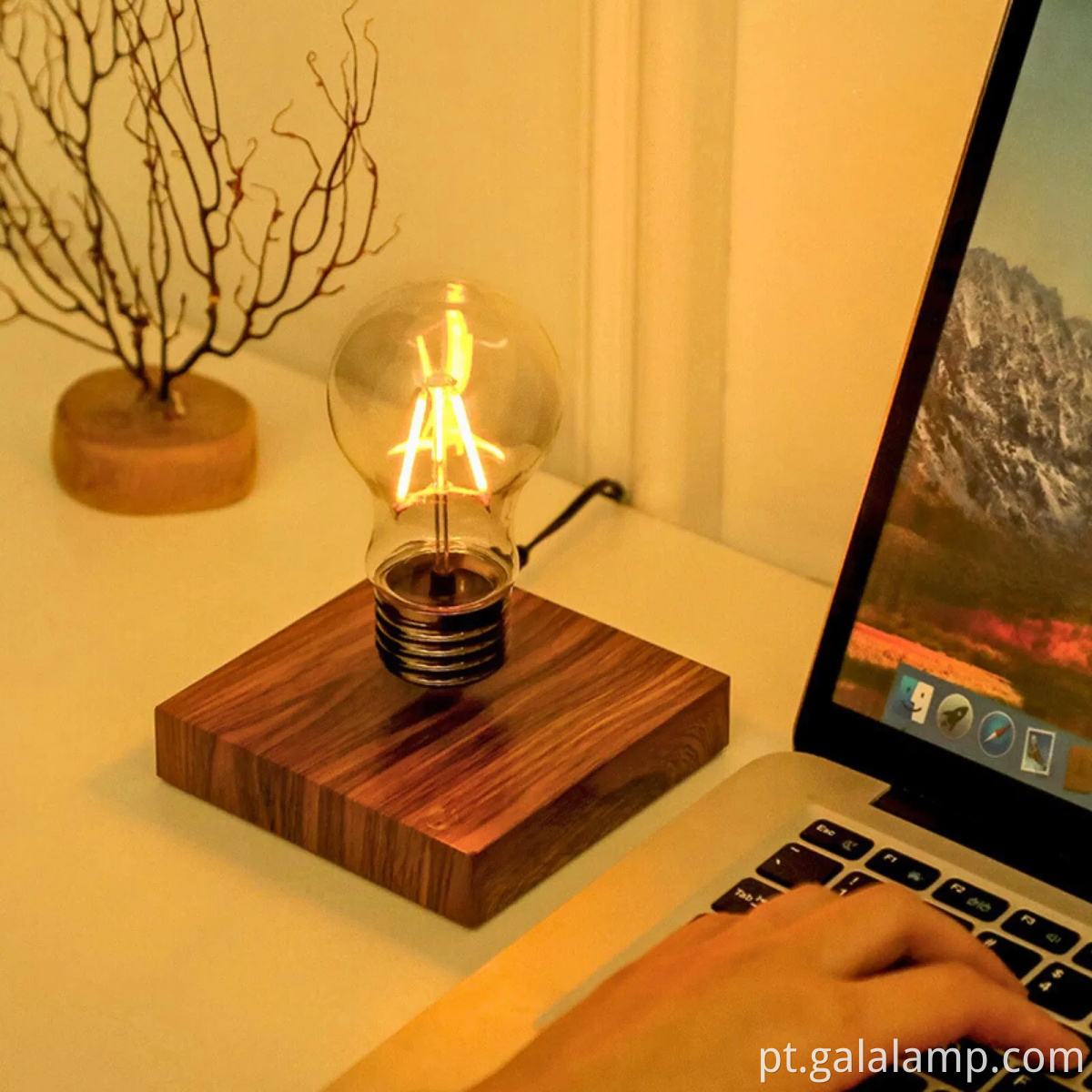 Magnetic Levitation Light Bulb with 360° Rotating Design